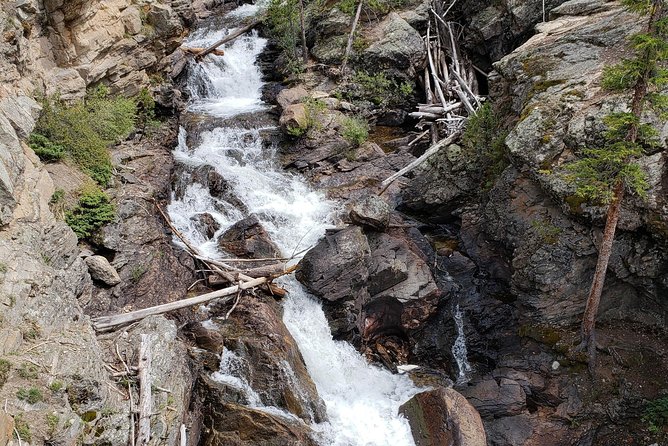 Private and Personalized Three Hour Morning Tour of Rocky Mountain National Park - Highlights of the Experience