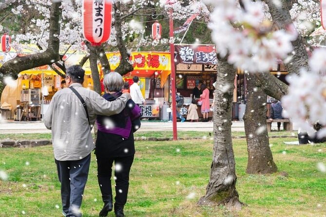 Private and Unique Fukuoka Cherry Blossom Sakura Experience - Taking in Cherry Blossom Viewing