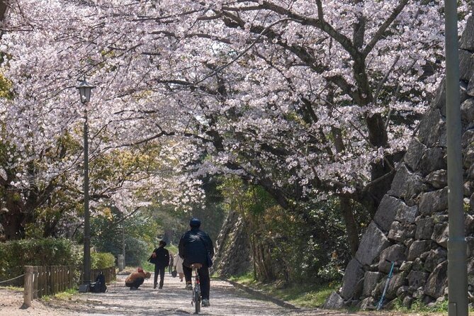 Private and Unique Fukuoka Cherry Blossom Sakura Experience - Cancellation Policy and Additional Info