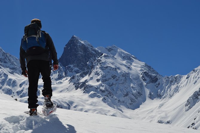 Private Andean Snowshoeing, Carbon Neutral - Booking and Pricing