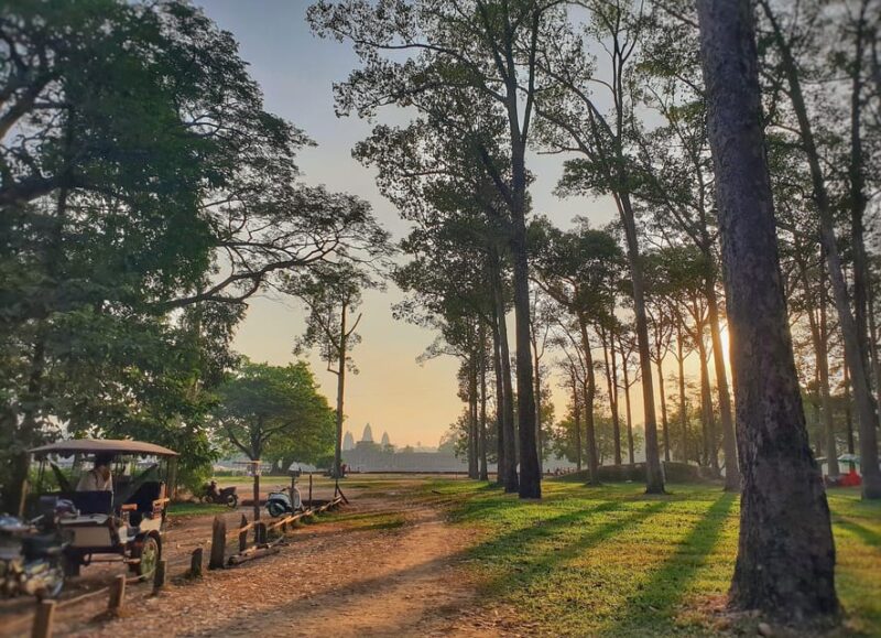 Private Angkor Park Guided Tour (Must-Visit Temples) - Itinerary Highlights