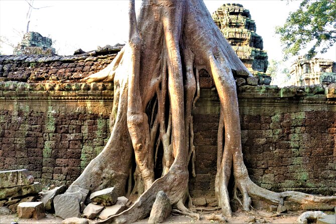 Private Angkor Temples Walking Tour From Siem Reap - Angkor Wats Magnificent Façade