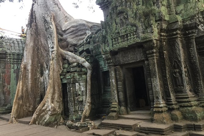 Private Angkor Tour - Transportation and Guide