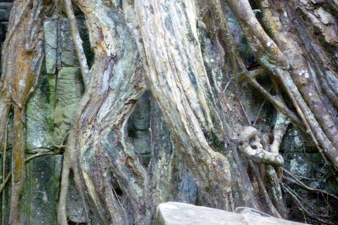 Private Angkor Wat One Day Tour - Best of Angkor - Entrance Fee Details