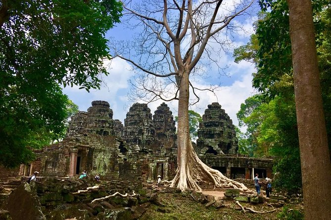 Private Angkor Wat Sunrise, Ta Promh, Banteay Srei, Bayon Tour - Discovering Ta Prohm Temple