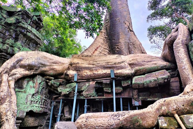 Private Angkor Wat Sunrise, Ta Promh, Banteay Srei, Bayon Tour - Customer Reviews and Ratings