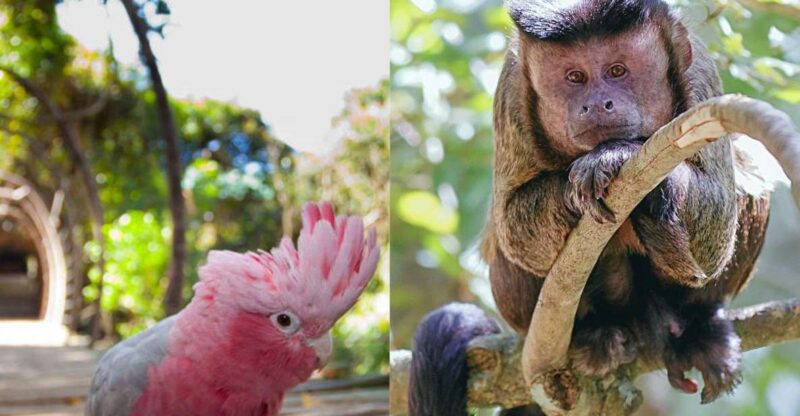 Private Animal Adventure Tour – Full Day - Tour Details