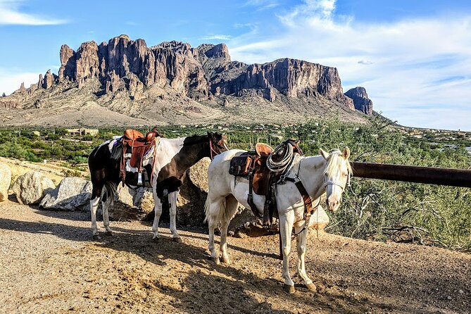 Private Apache Trail Tour With Canyon Lake Cruise - Confirmation and Weather Conditions