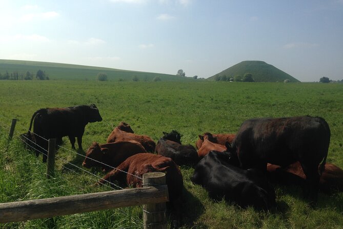 Private Archaeologist–Led Stonehenge Salisbury and Avebury Tour - Small Group Experience