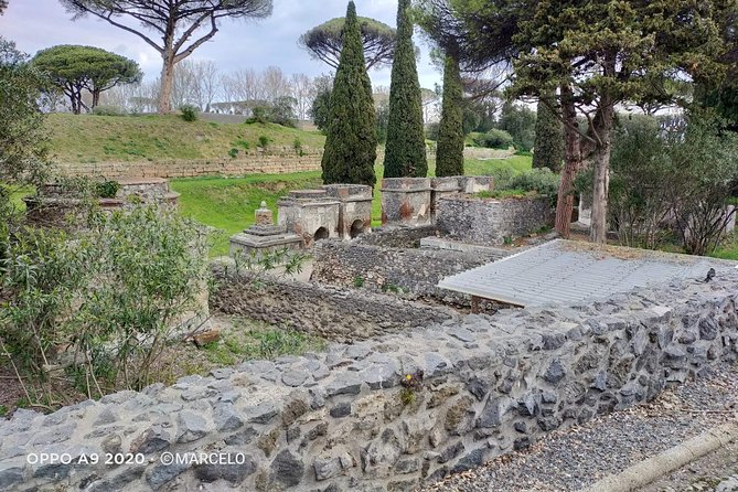 Private Archaeologist Service to Explore Pompeiis Secrets Any Time Ticket Incl. - Flexible Start Times