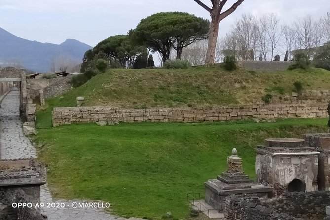 Private Archaeologist Service to Explore Pompeiis Secrets Any Time Ticket Incl. - Private Tour Experience