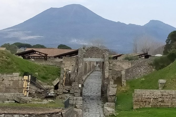 Private Archaeologist Service to Explore Pompeiis Secrets Any Time Ticket Incl. - Tour Details and Duration