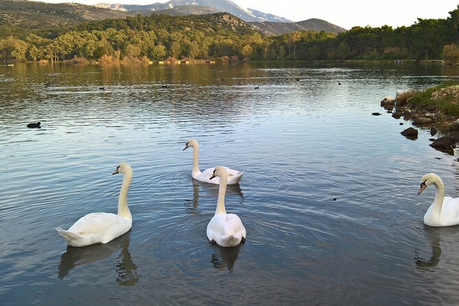 Private Argostoli Walking Expedition & Ouzo Meze - Tour Overview