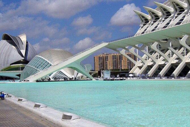 Private Arrival or Departure Transfer in Valencia (Hotel or Airport Pick-Up) - Traveling With Additional Needs