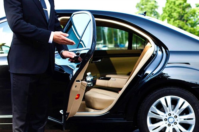 Private Arrival Transfer Adana Airport to Adana City Center - Key Points