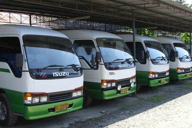 Private Arrival Transfer: Bali Airport to Hotel - Included Services and Features