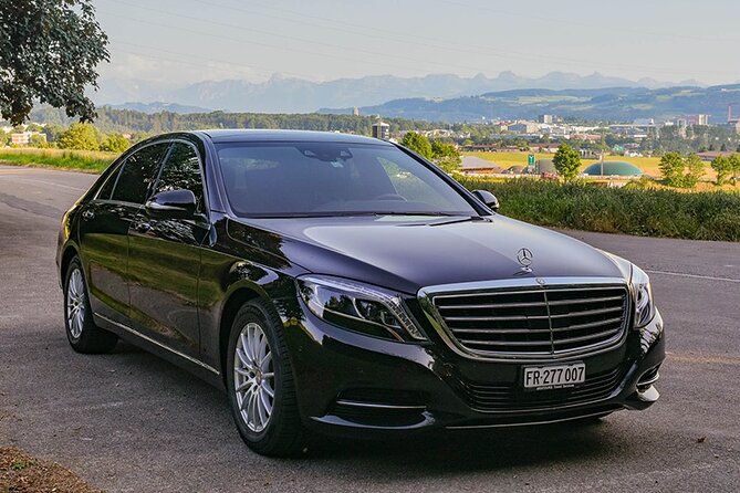 Private Arrival Transfer: From Geneva Airport to Evian-Les-Bains, France - Accessibility and Participation