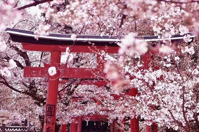 Private Arrival Transfer From Kansai International Airport to Kyoto City - Pickup and Drop-off Locations