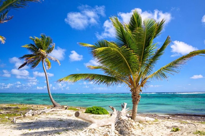 Private Arrival Transfer From Punta Cana Airport (Puj) to Punta Cana - Booking Your Stay