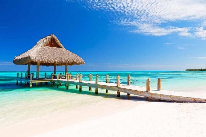 Private Arrival Transfer From Punta Cana Airport (Puj) to Santo Domingo - Child and Accessibility Options