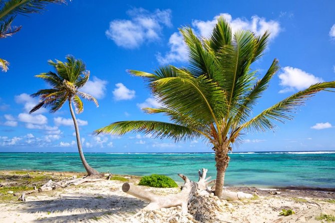 Private Arrival Transfer From Punta Cana Airport (Puj) to Santo Domingo - Booking Your Stay