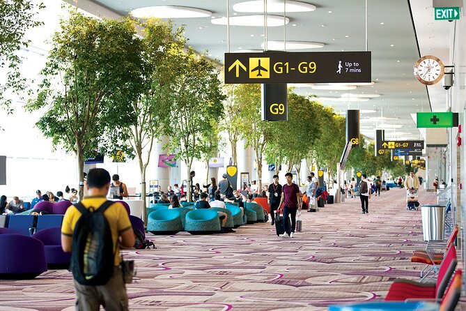 Private Arrival Transfer From Singapore Airport or Port to Hotel - Cruise Ship Passenger Information