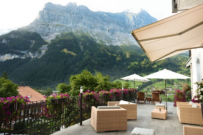 Private Arrival Transfer: From Zurich Airport to Scuol - Vehicle and Amenities