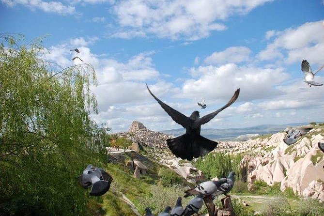 Private Arrival Transfer: Kayseri or Nevsehir Airports to Cappadocia Hotel - Additional Information