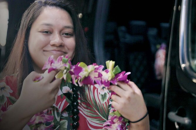 Private Arrival Transfer: Kona International Airport to Big Island Hotels - Accessibility Considerations