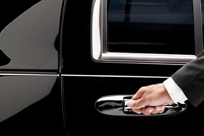 Private Arrival Transfer: Nice Airport to Hotel - Vehicle Variety