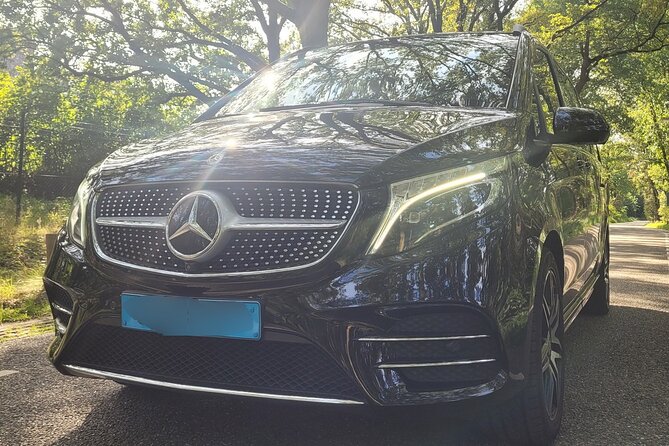 Private Arrival Transfer: Schiphol Airport Amsterdam - Pickup and Drop-off Information