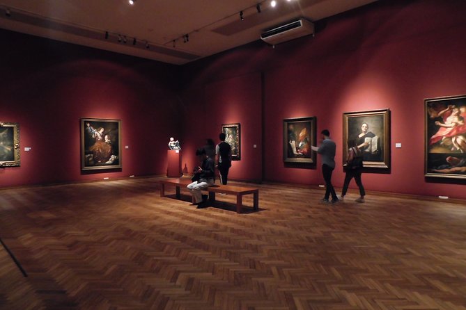 Private Art and Museums Tour in Buenos Aires - Immersive Experience