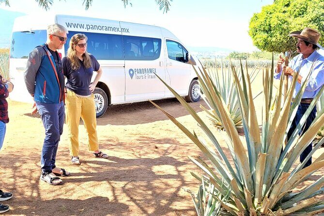 Private Artisanal Tequila Tour - A Walkthrough of the Experience