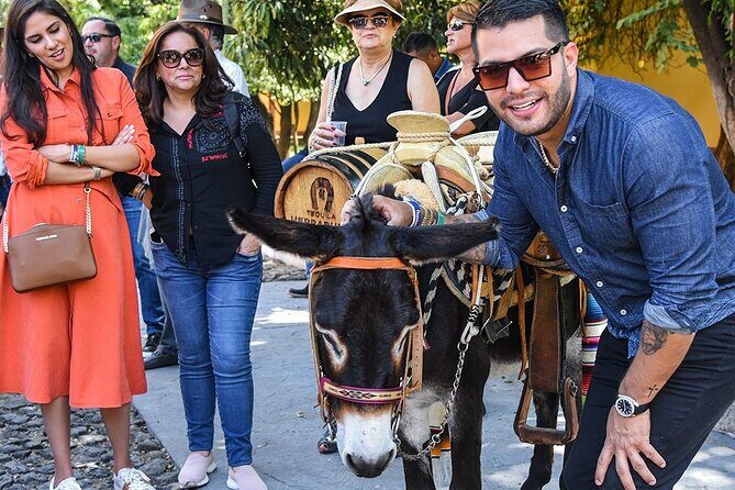 Private Artisanal Tequila Tour - Who Should Consider This Tour?