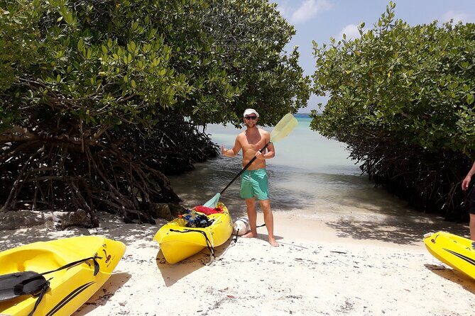 Private Aruba Kayak & Snorkeling Tour + Transortation - Who Would Love This Tour?
