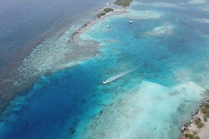 Private Aruba Kayak & Snorkeling Tour + Transortation - The Sum Up