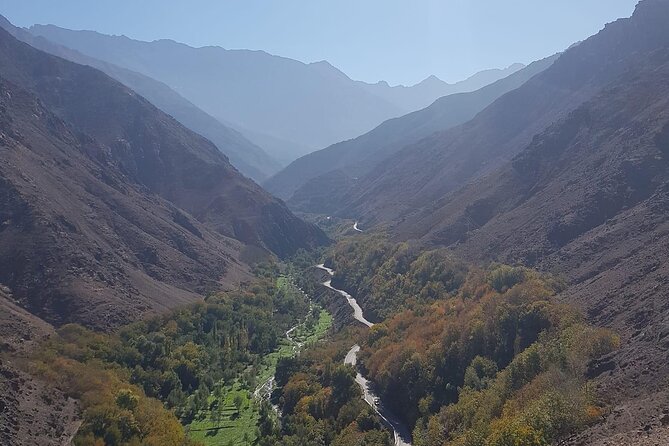 Private Atlas Mountains Day Trip From Marrakech - Customer Reviews and Feedback