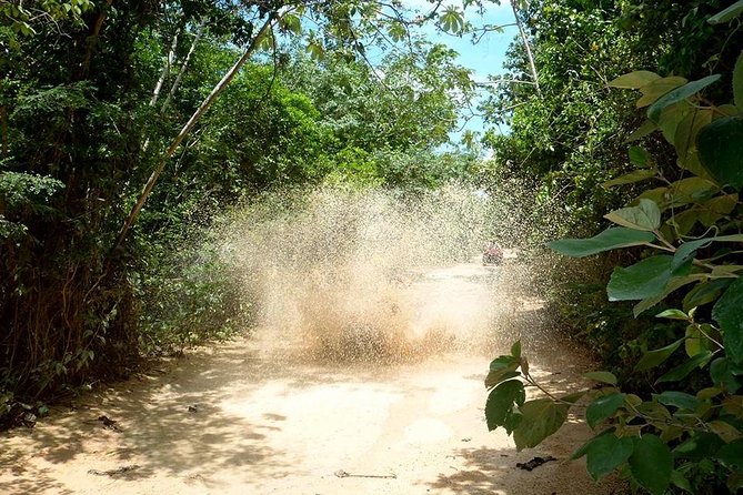Private ATV Jungle Explorer Tour - Accessibility and Prerequisites