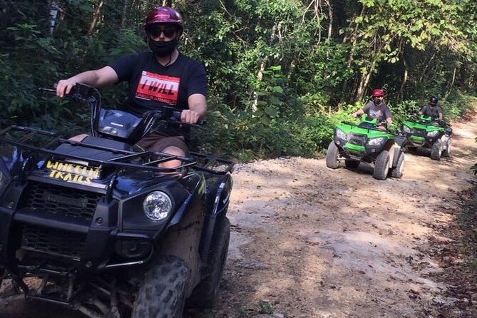 Private ATV Jungle Explorer Tour - Positive Guest Reviews