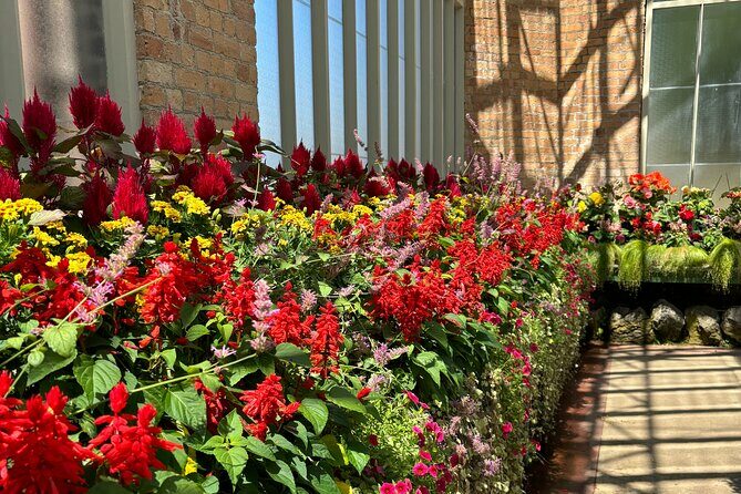 Private Auckland Best Top 5 Spots Half day Tour - Key Points