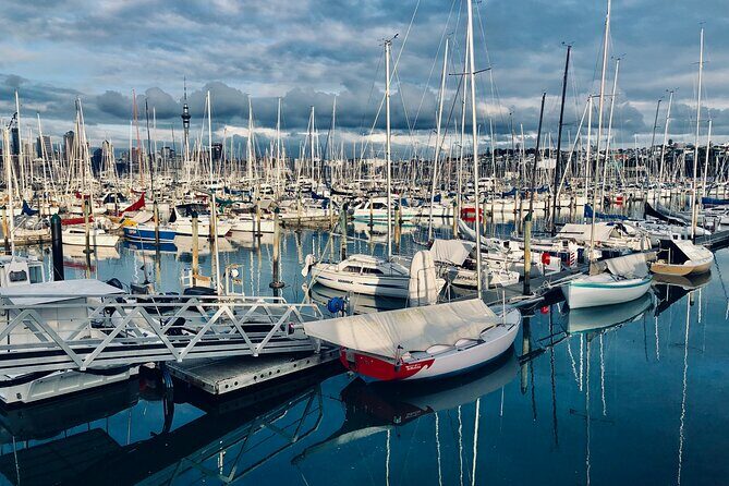 Private Auckland Best Top 5 Spots Half day Tour - Who Is This Tour Best Suited For?