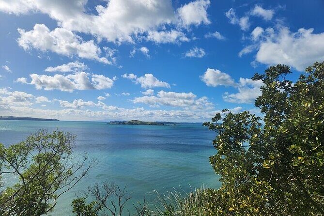 Private Auckland Best Top 5 Spots Half day Tour - FAQs