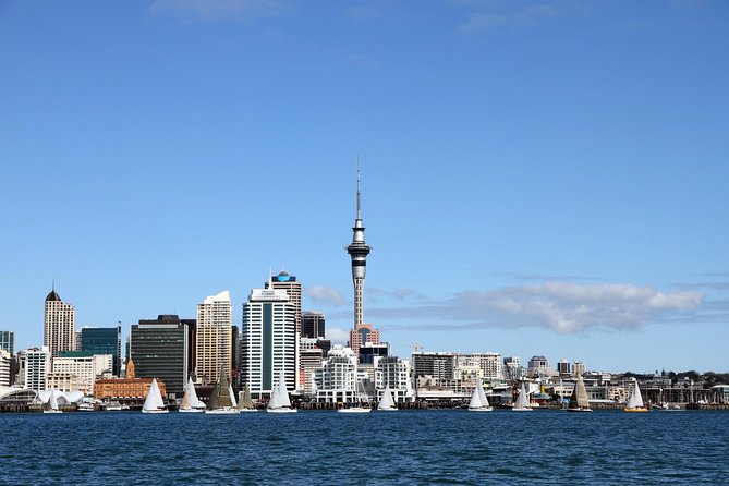 Private Auckland City Tour for Small Group in a Luxury Vehicle. - Pickup Information
