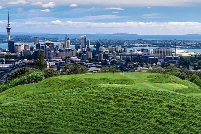 Private Auckland City Tour for Small Group in a Luxury Vehicle. - Experienced Tour Guide