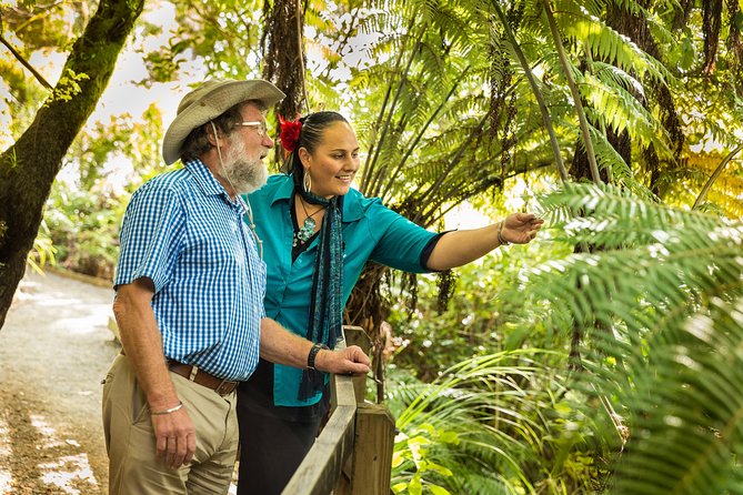 Private Auckland Half Day Tour - Pricing and Availability