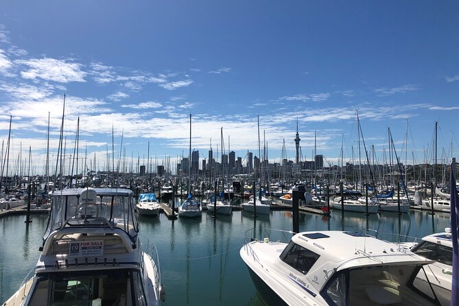Private Auckland Half Day Tour - Cancellation Policy