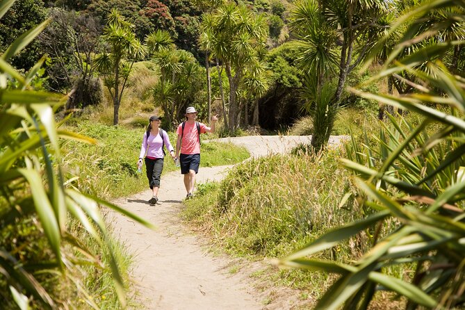 Private Auckland Luxury Tour - Transport and Accessibility