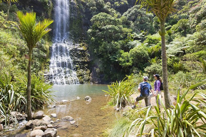 Private Auckland Luxury Tour - Tour Operator Information