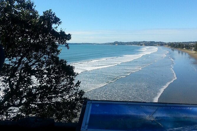 Private Auckland North Eastern Coast Tour - Guidance and Accessibility