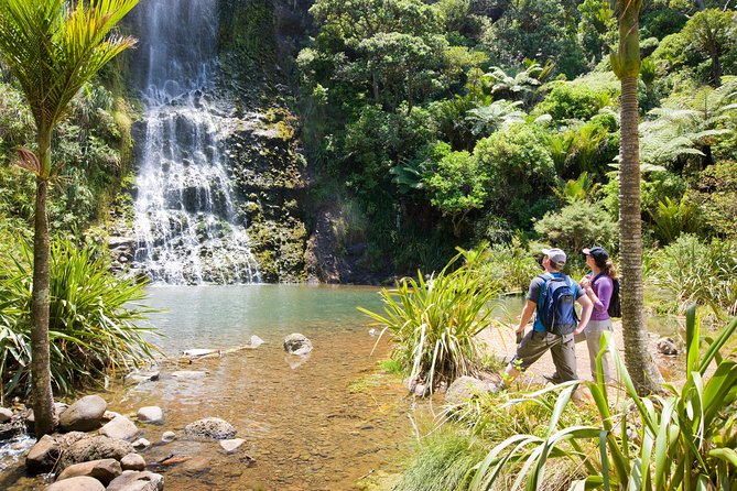 Private Auckland West Coast Day Tour - Meeting and Pickup